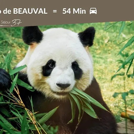 Cozy Zen 1 Grande - Calme - Arrivée Autonome - 6 Pers - Parking Gratuit