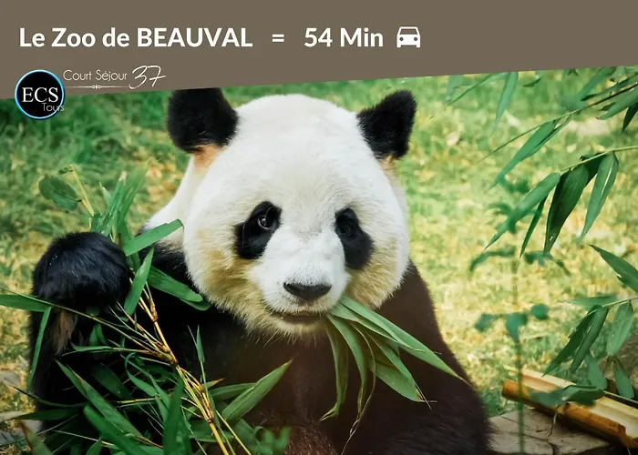 Cozy Zen 1 Grande - Calme - Arrivée Autonome - 6 Pers - Parking Gratuit