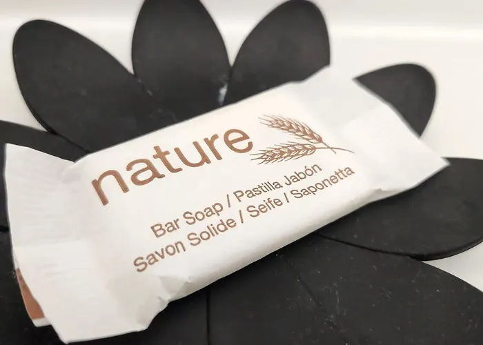 Cozy Zen 1 Grande - Calme - Arrivée Autonome - 6 Pers - Parking Gratuit Appartement